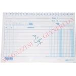 SCHEDE A 2 COLONNE BLUE E3129BL